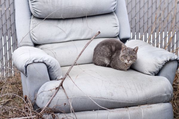Recliner Disposal in Louisville